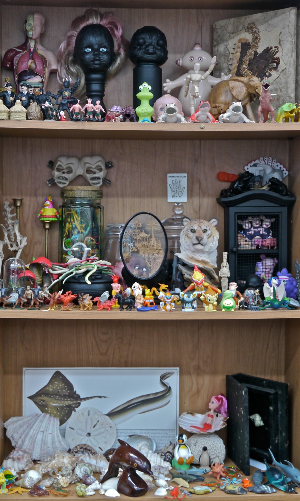 'Cabinet of Curiosities' 2012