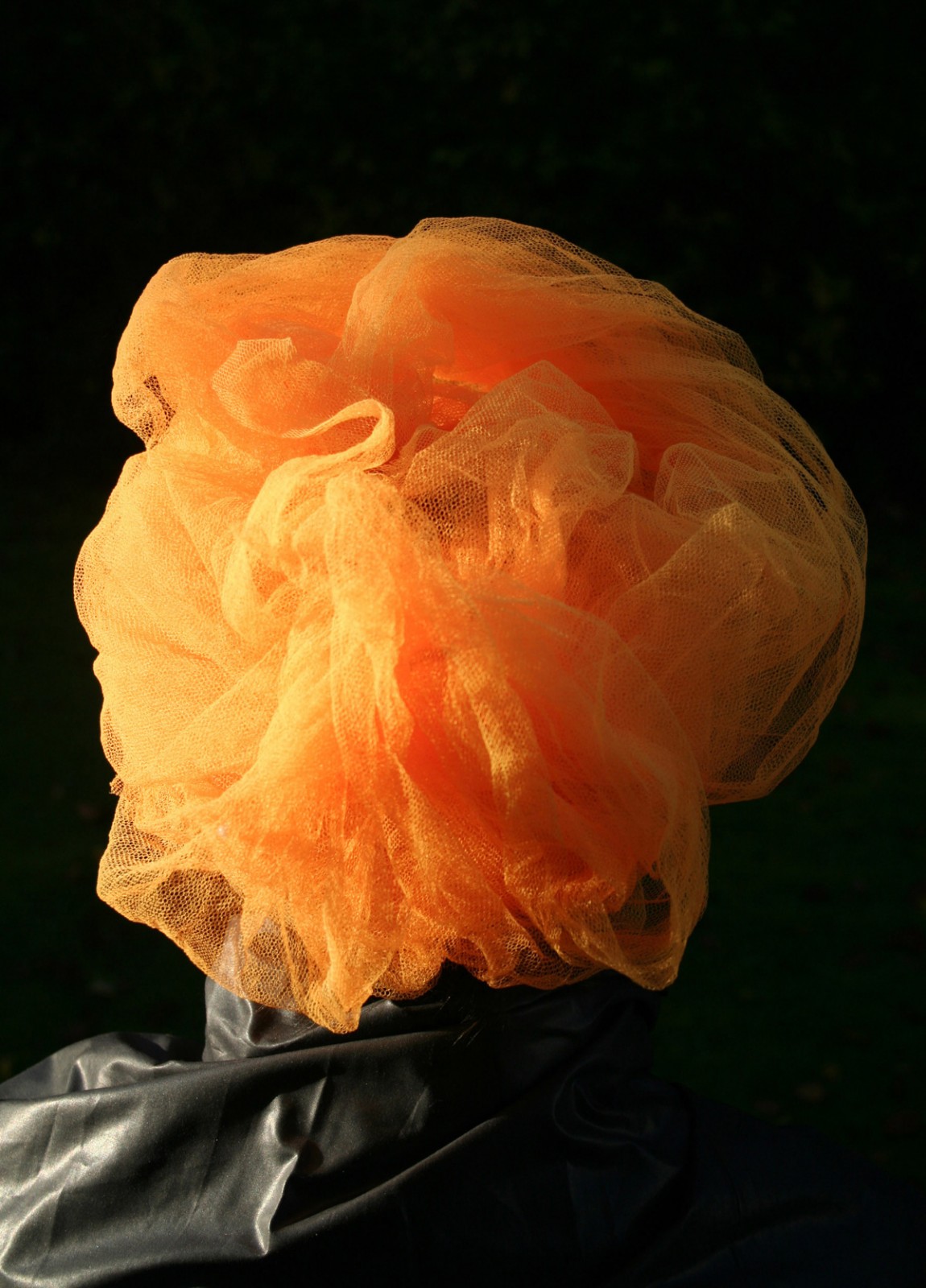 After Van Eyck Series - Orange Net