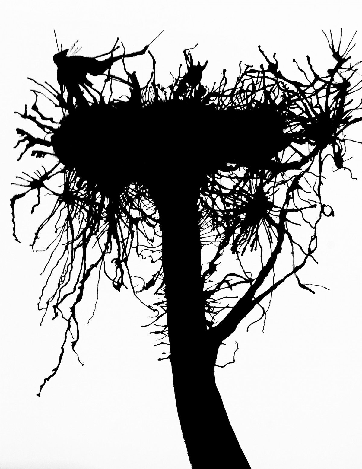IMG_3885 (Crow Tree tidy for print)